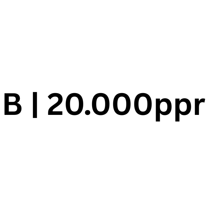 B|20.000ppr
